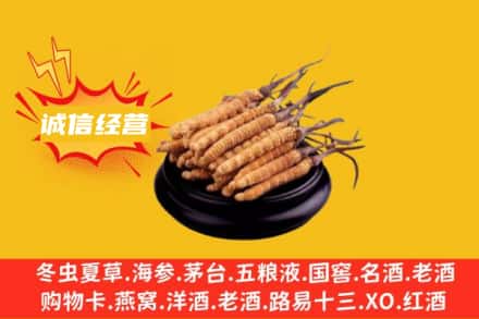 河池凤山县回收冬虫夏草